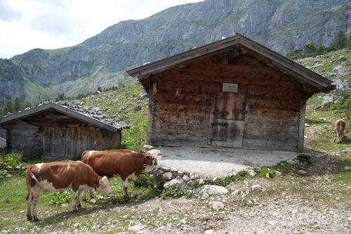Zireiner Alm